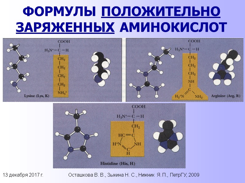 13 декабря 2017 г. Осташкова В. В., Зыкина Н. С., Нижник Я. П., ПетрГУ,